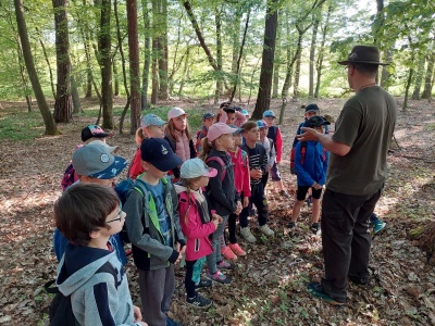 Exkurze les Křičeň - 1. a 2.třída