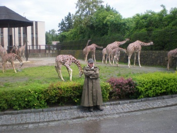 Radek zapózoval u žiraf