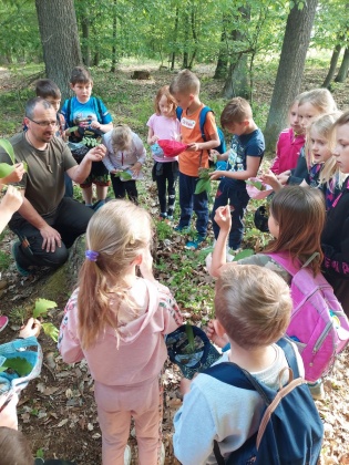 Exkurze les Křičeň - 1. a 2.třída