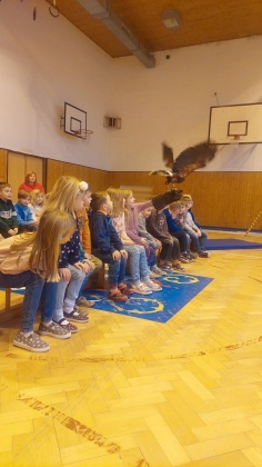 Ukázka dravců - 1. - 6. třída