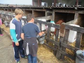 Farma Osičky - 17. 6. (3. - 5. roč.)