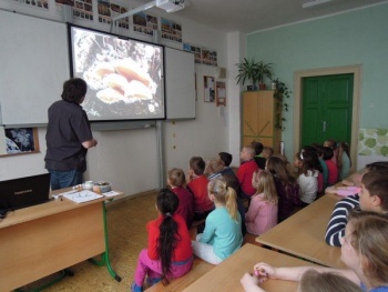 Přednáška o houbách - 24. 4.