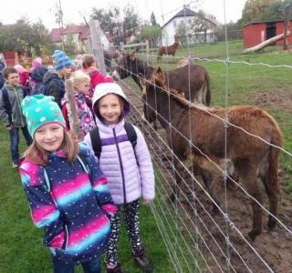 13.10. Zoo Park Stěžery (1.,2.třída)